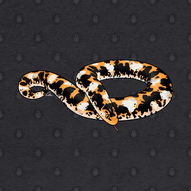 Calico Kenyan Sand Boa by anacecilia